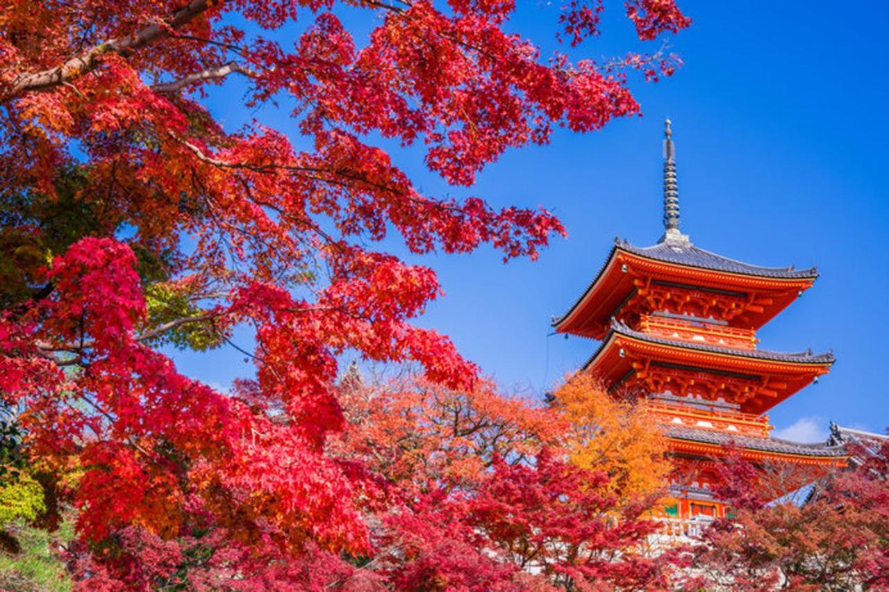 中川西 地下鉄今里駅一戸建 Samurai House Guest House Imazato 難波直通 最大7名 Осака Экстерьер фото